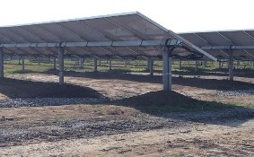 New Grass - Civil Construction